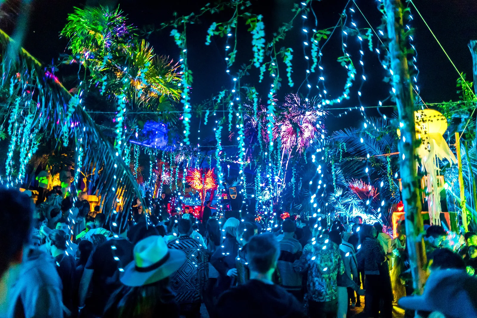 Papaya Playa Project - PPP